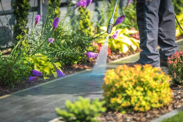 Winterizing Services in Jonesboro, LA